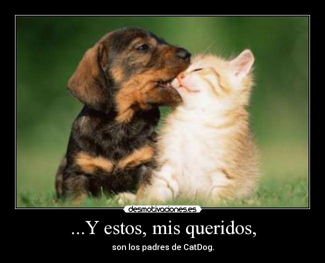 ...Y estos, mis queridos, - son los padres de CatDog.