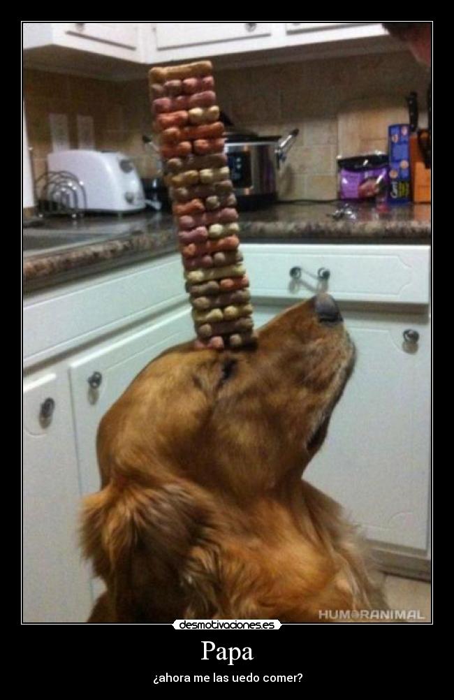 Papa - ¿ahora me las uedo comer?