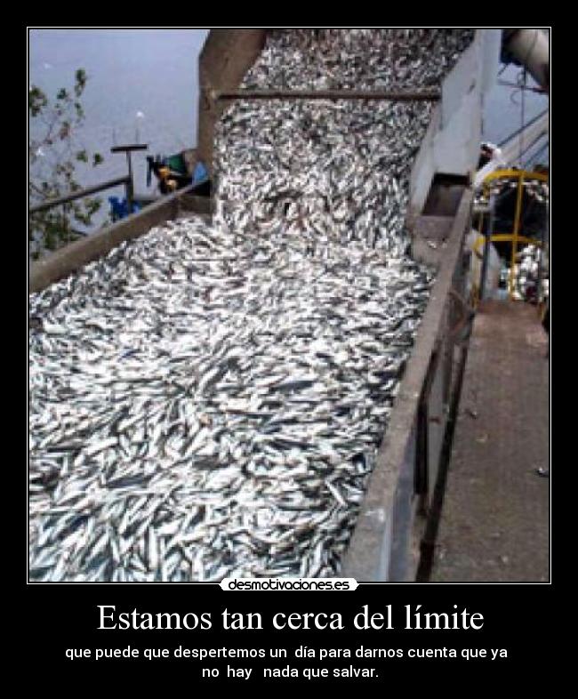 Estamos tan cerca del límite - 