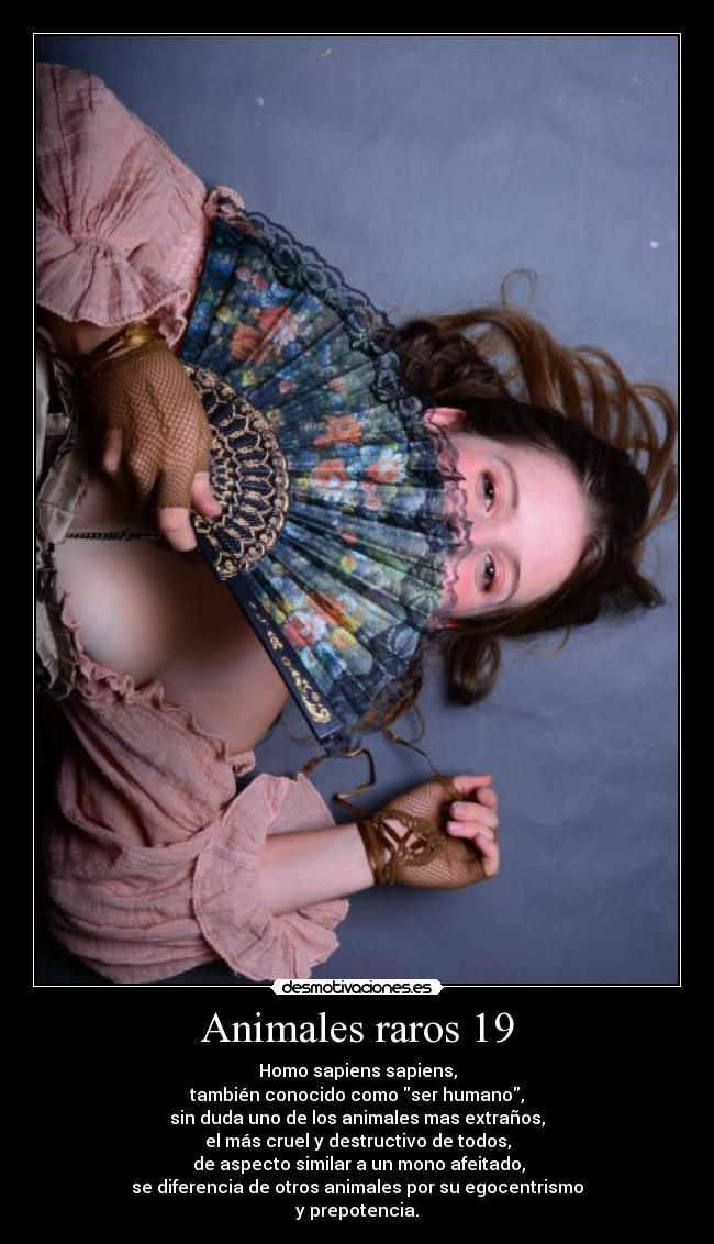 carteles animales animalesraros justiciaradical ecologiaradical desmotivaciones