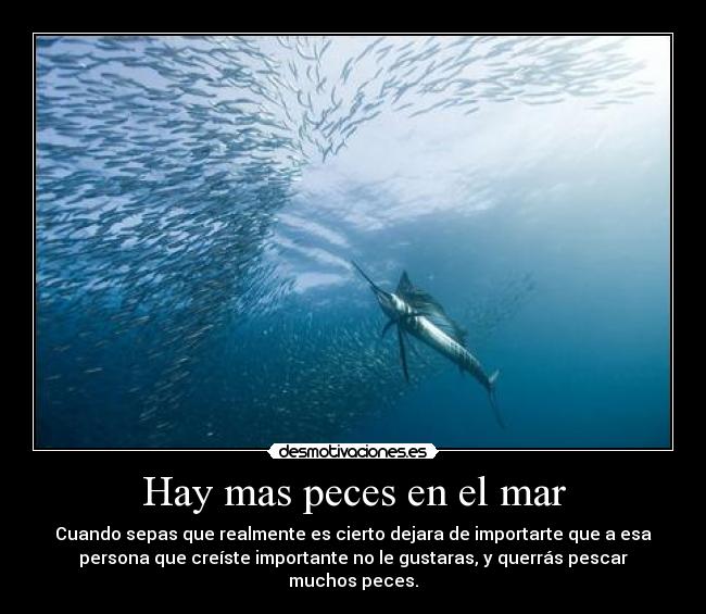 Hay mas peces en el mar - Cuando sepas que realmente es cierto dejara de importarte que a esa
persona que creíste importante no le gustaras, y querrás pescar
muchos peces.