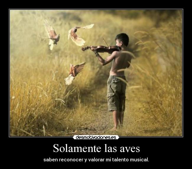 Solamente las aves - saben reconocer y valorar mi talento musical.