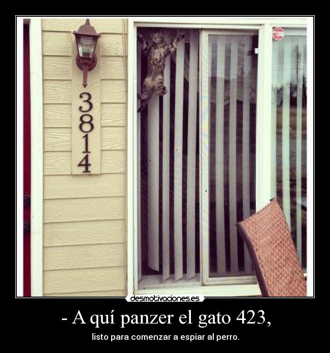 - A quí panzer el gato 423, -