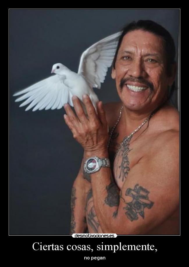 carteles albertop desmotivaciones