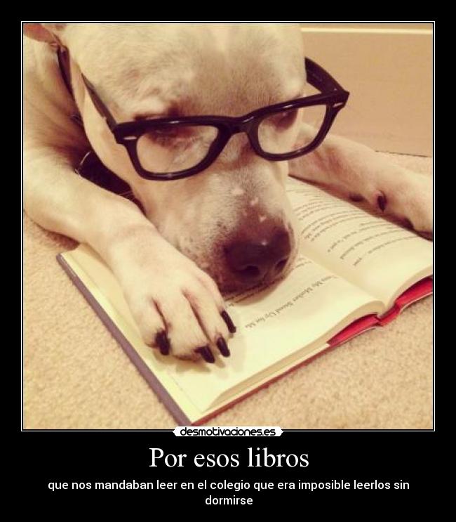 Por esos libros - 