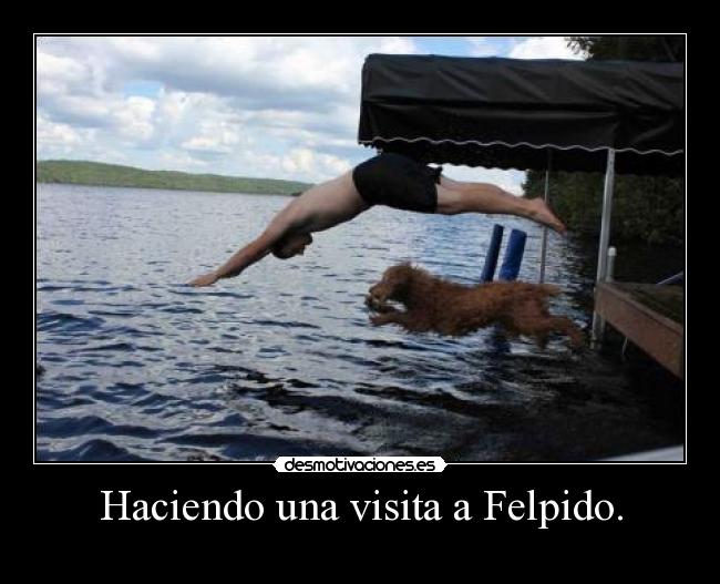 Haciendo una visita a Felpido. -