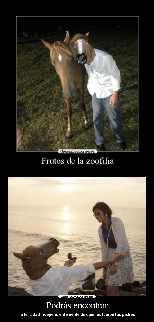 carteles eften echo menos caballo desmotivaciones