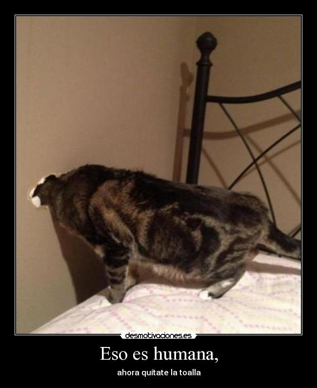 Eso es humana, -