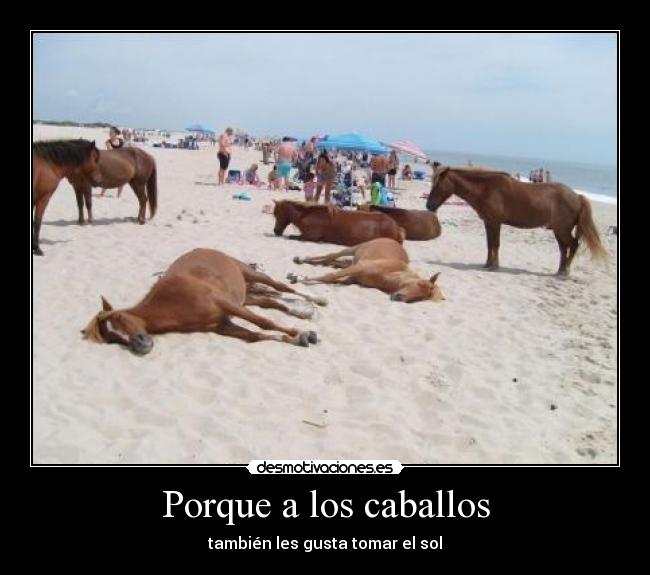 Porque a los caballos - 