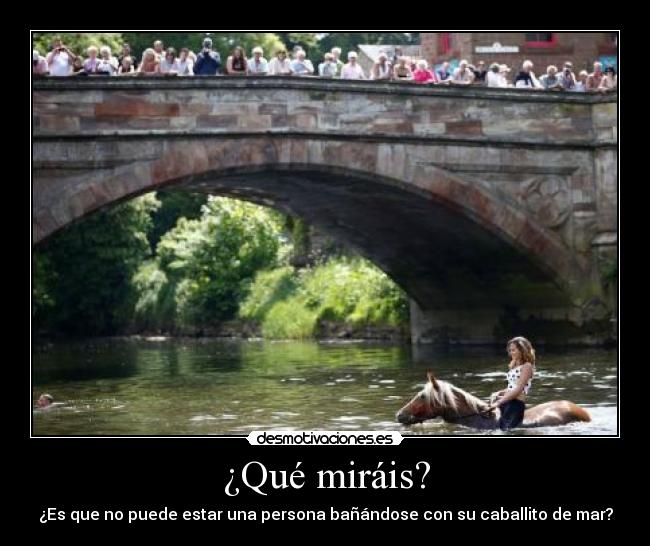 ¿Qué miráis? - ¿Es que no puede estar una persona bañándose con su caballito de mar?