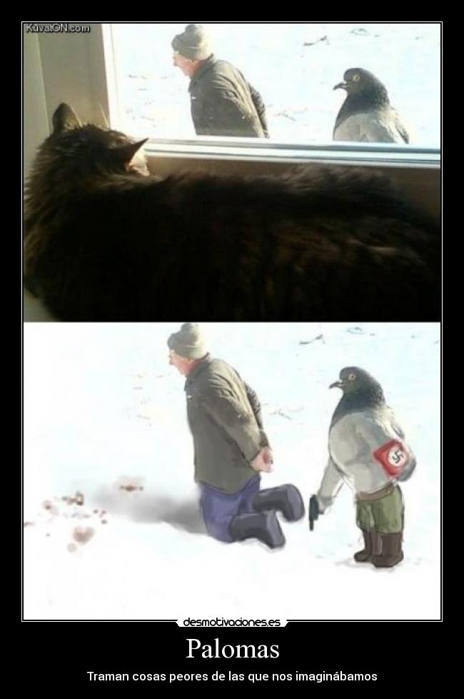 carteles palomas nazis xddd psilocibina desmotivaciones