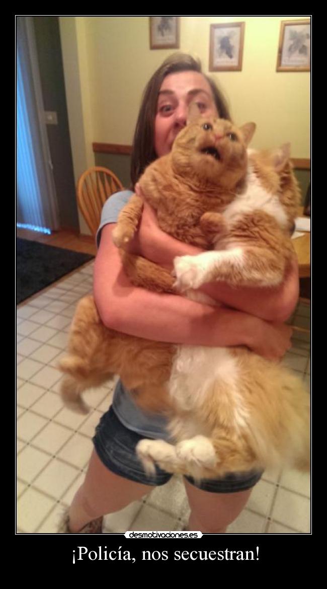 ¡Policía, nos secuestran! -