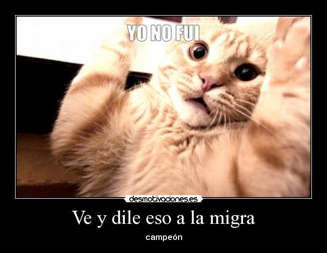 carteles jajajajajajjajajajajajaj manda chit jajaajajaj desmotivaciones