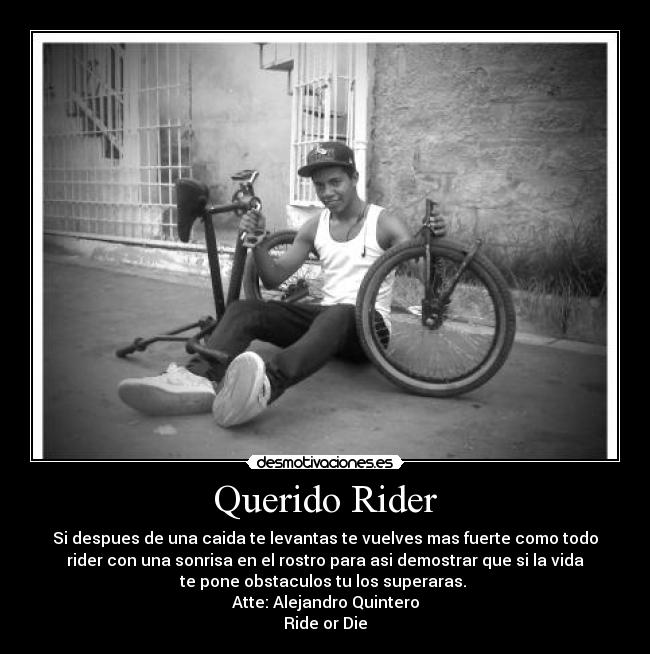 Querido Rider -