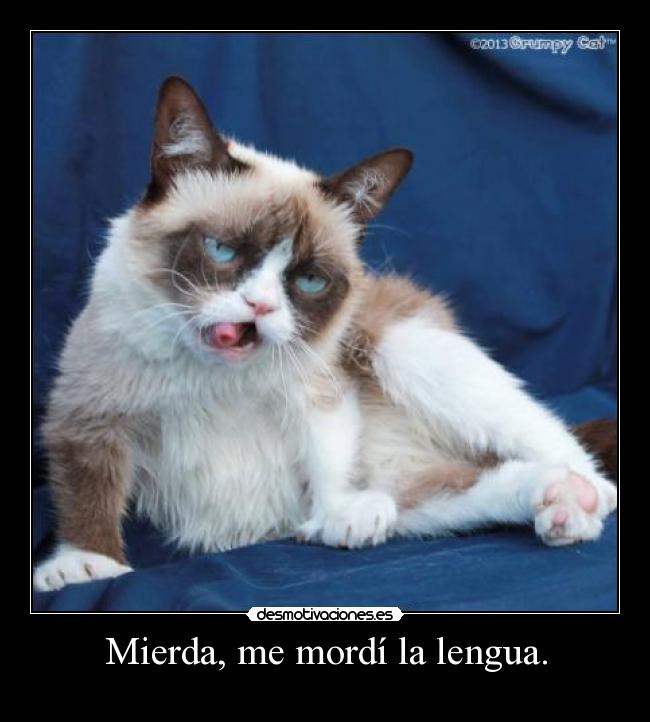 Mierda, me mordí la lengua. - 