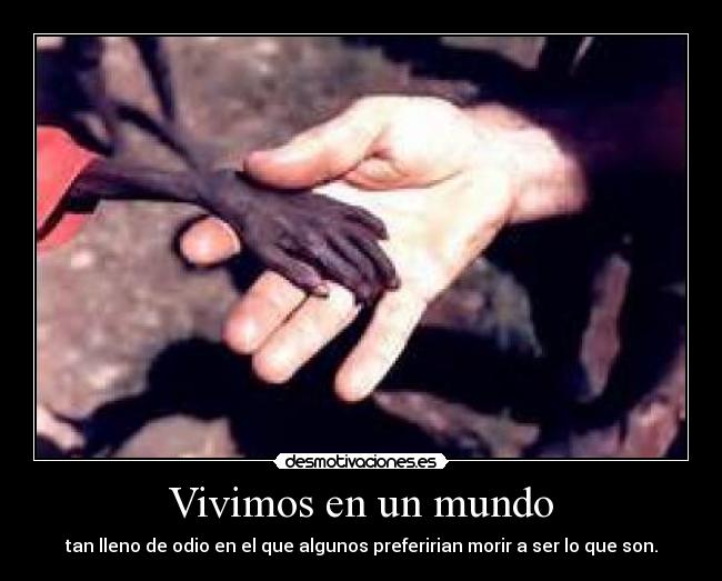 Vivimos en un mundo - tan lleno de odio en el que algunos preferirian morir a ser lo que son.