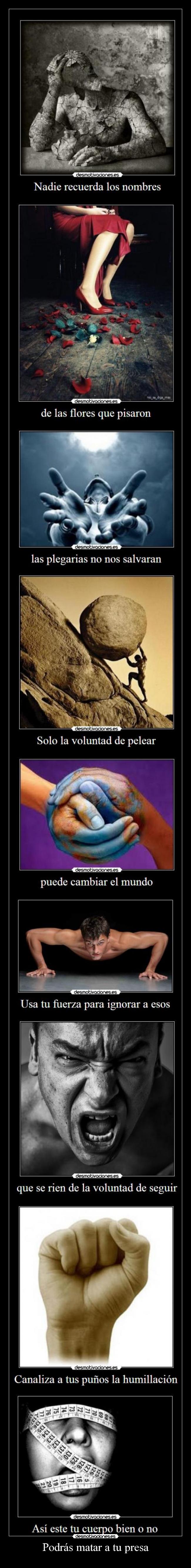 Podrás matar a tu presa -