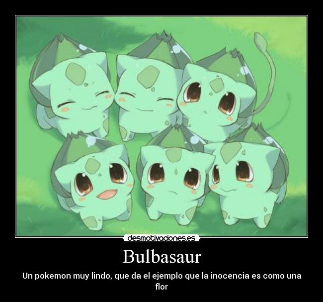 Bulbasaur - Un pokemon muy lindo, que da el ejemplo que la inocencia es como una flor