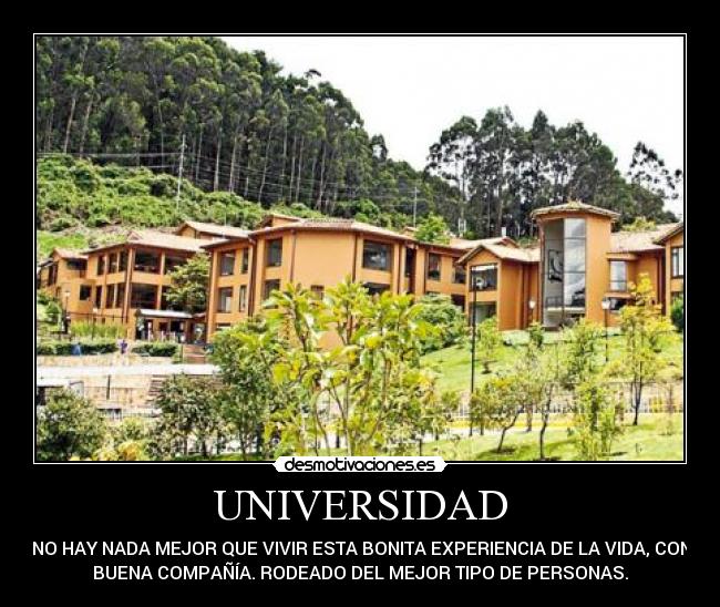 UNIVERSIDAD - NO HAY NADA MEJOR QUE VIVIR ESTA BONITA EXPERIENCIA DE LA VIDA, CON
BUENA COMPAÑÍA. RODEADO DEL MEJOR TIPO DE PERSONAS.