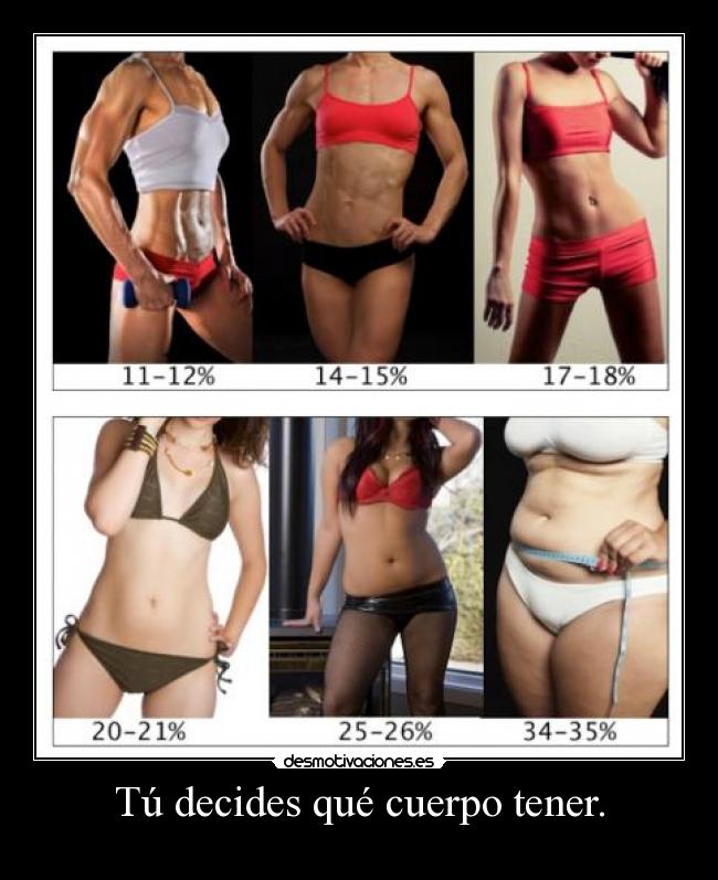 carteles los porcentajes indican porcentaje grasa desmotivaciones