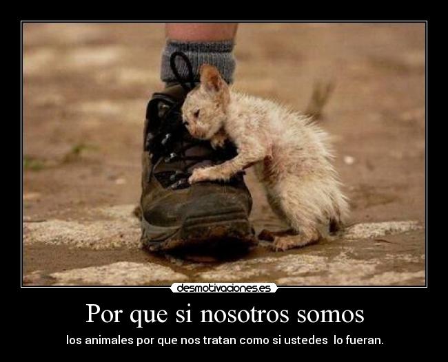 Por que si nosotros somos - 