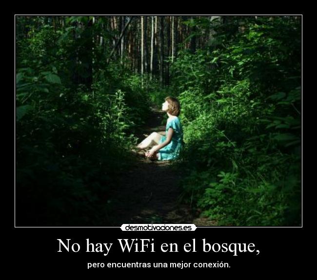 carteles bosque wifi desmotivaciones