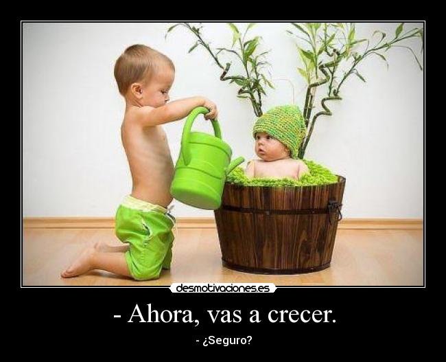 - Ahora, vas a crecer. - 