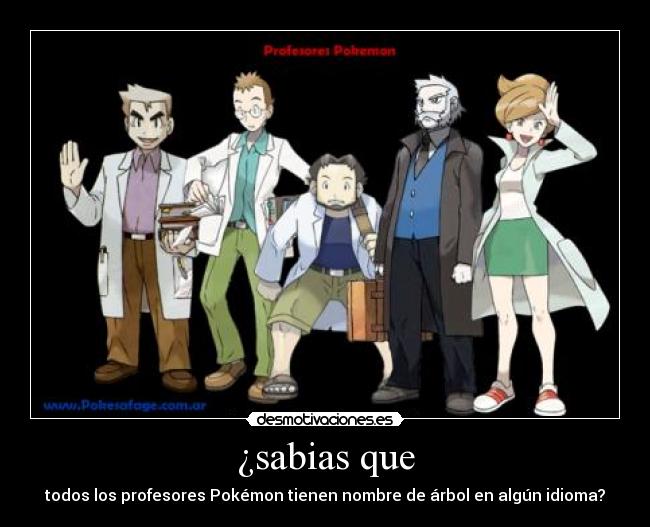 ¿sabias que - todos los profesores Pokémon tienen nombre de árbol en algún idioma?