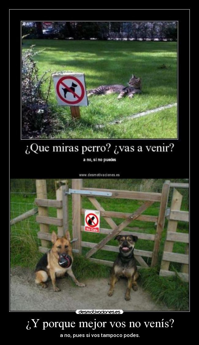¿Y porque mejor vos no venís? -
