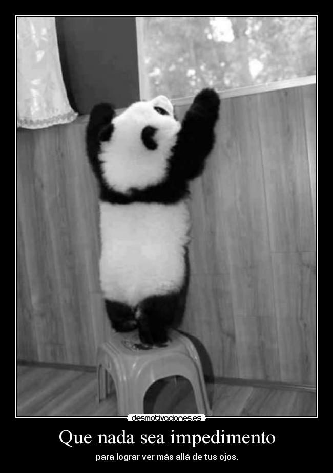Que nada sea impedimento - para lograr ver más allá de tus ojos.