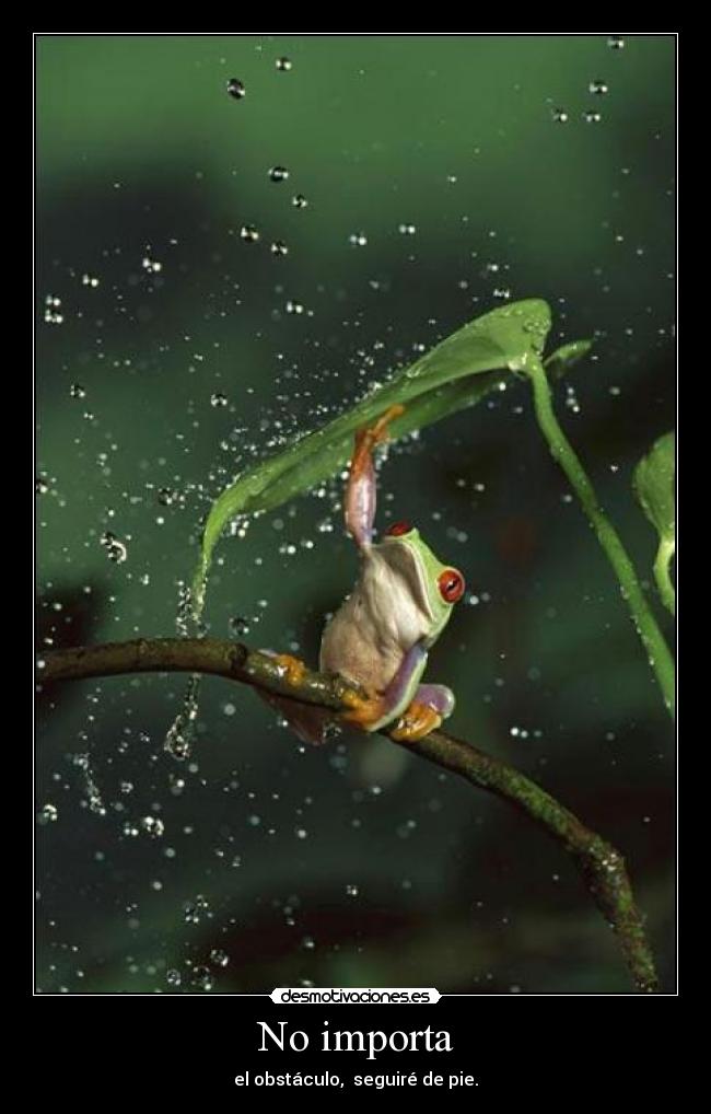 No importa - el obstáculo,  seguiré de pie.