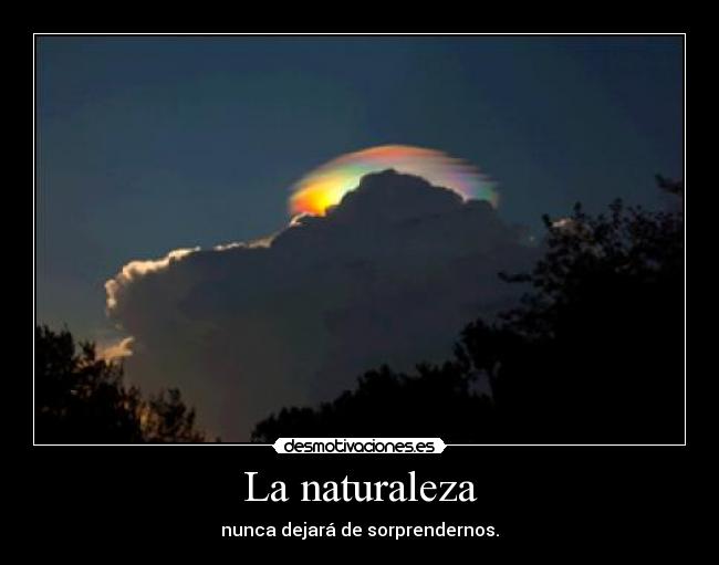 La naturaleza - 