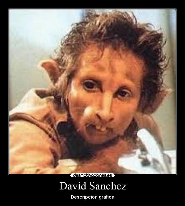 carteles humor desmotivaciones