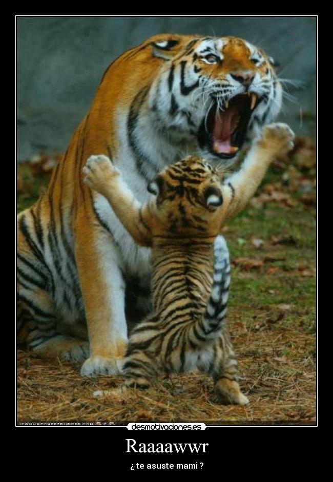 Raaaawwr - ¿ te asuste mami ?