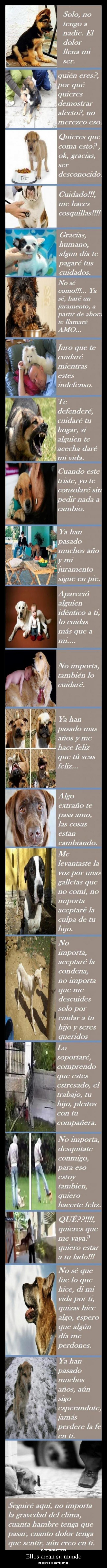 Ellos crean su mundo - nosotros lo cambiamos,