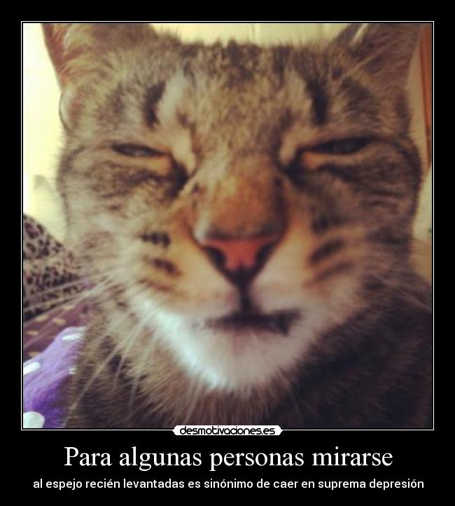 carteles carteles flojillos esque tengo tiempo buscar nuevas fotos desmotivaciones