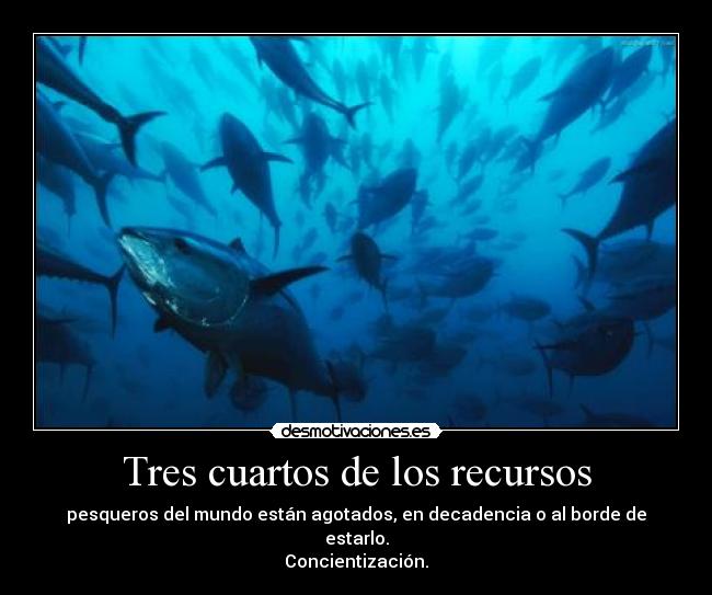 Tres cuartos de los recursos - pesqueros del mundo están agotados, en decadencia o al borde de estarlo.
Concientización.