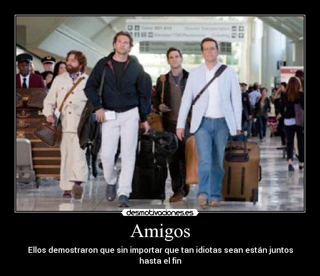Amigos - Ellos demostraron que sin importar que tan idiotas sean están juntos hasta el fin