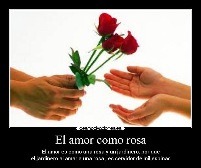 El amor como rosa - El amor es como una rosa y un jardinero: por que
el jardinero al amar a una rosa , es servidor de mil espinas