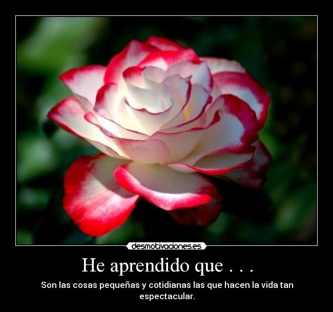 He aprendido que . . . - Son las cosas pequeñas y cotidianas las que hacen la vida tan
espectacular.