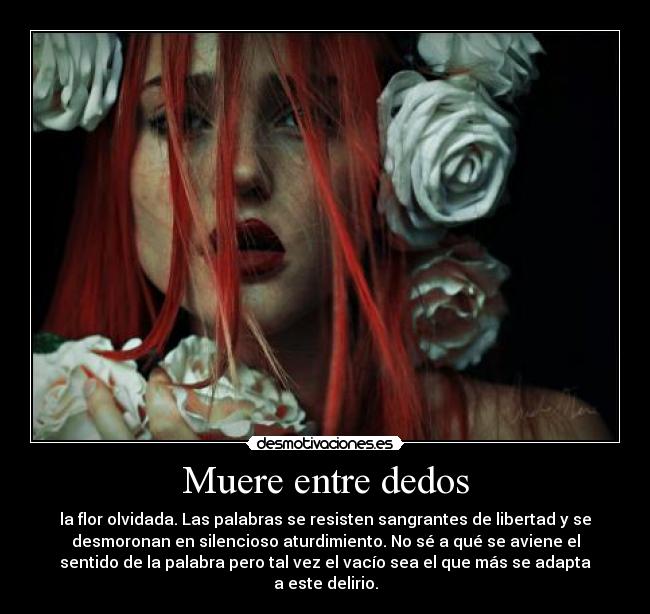 Muere entre dedos - la flor olvidada. Las palabras se resisten sangrantes de libertad y se
desmoronan en silencioso aturdimiento. No sé a qué se aviene el
sentido de la palabra pero tal vez el vacío sea el que más se adapta
a este delirio.