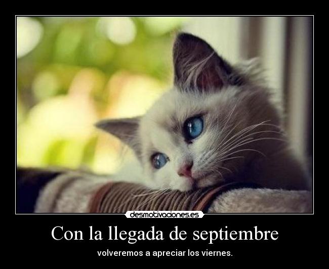 Con la llegada de septiembre - volveremos a apreciar los viernes.