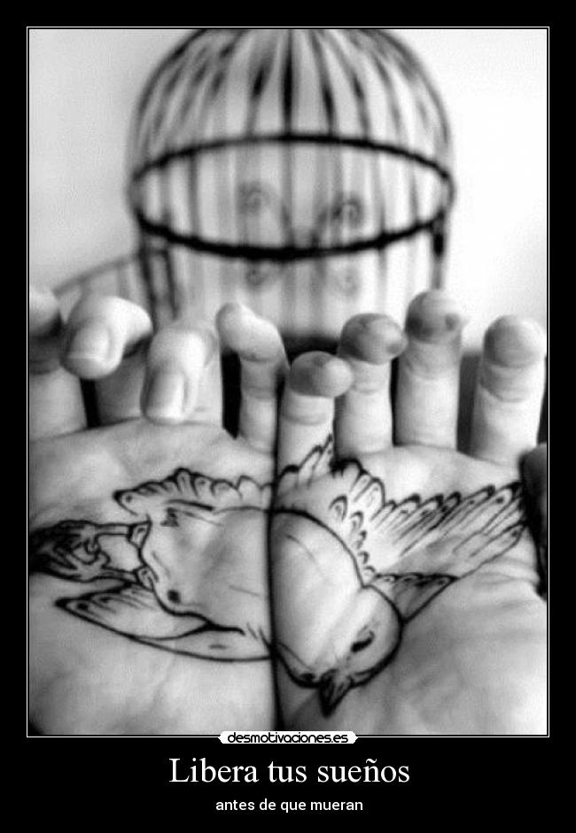 Libera tus sueños -