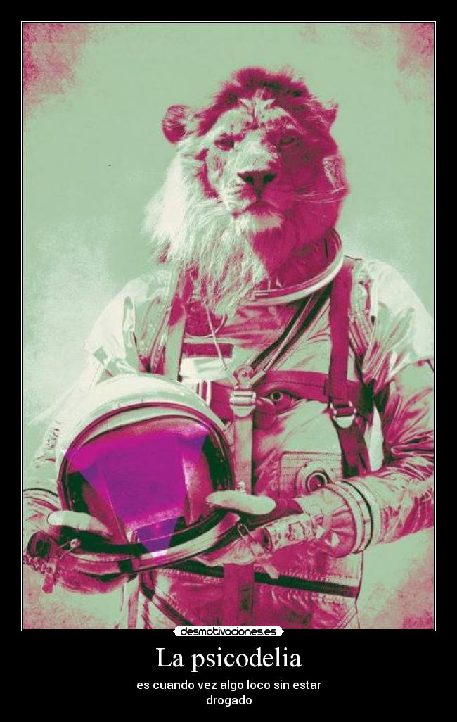 La psicodelia - es cuando vez algo loco sin estar
drogado