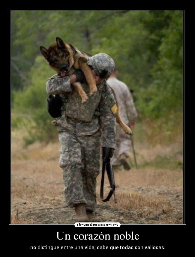Un corazón noble -