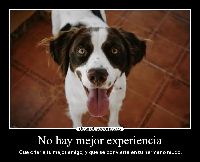 No hay mejor experiencia -