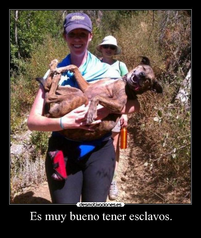 Es muy bueno tener esclavos. -