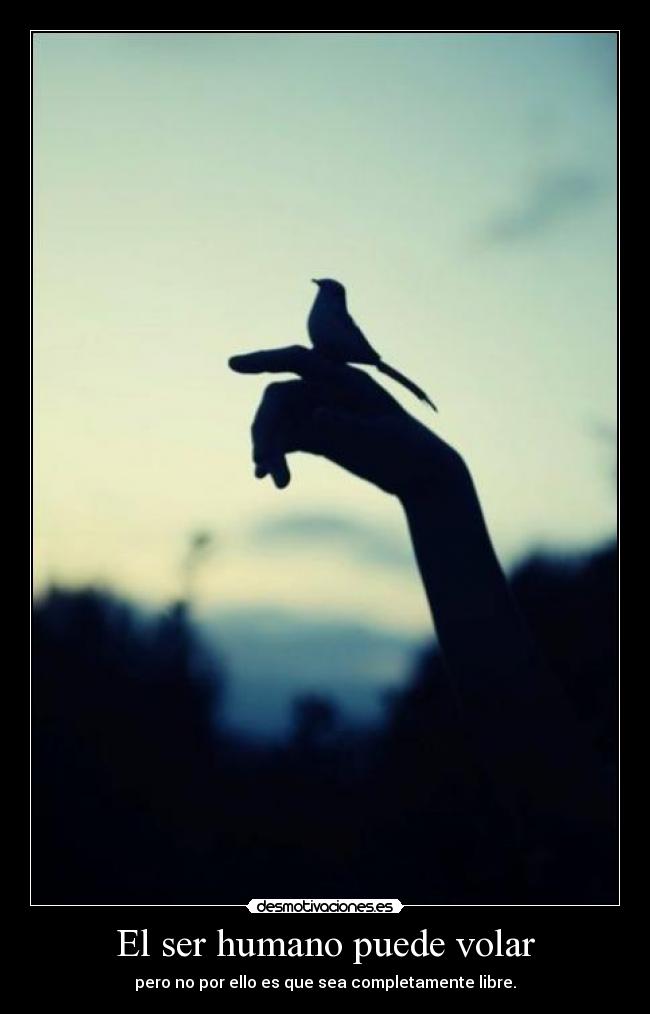 El ser humano puede volar - pero no por ello es que sea completamente libre.