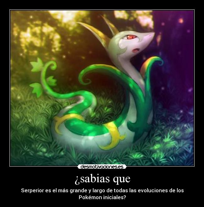 ¿sabias que - Serperior es el más grande y largo de todas las evoluciones de los Pokémon iniciales?