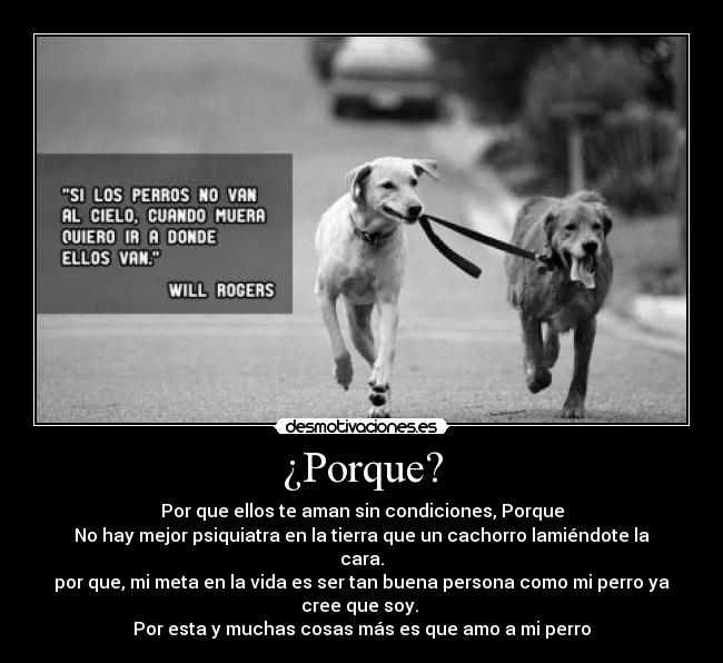 ¿Porque? - Por que ellos te aman sin condiciones, Porque
No hay mejor psiquiatra en la tierra que un cachorro lamiéndote la cara.
por que, mi meta en la vida es ser tan buena persona como mi perro ya cree que soy. 
Por esta y muchas cosas más es que amo a mi perro♥